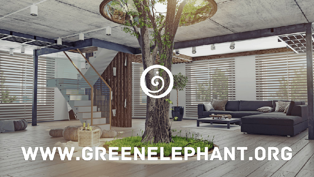 Why Are We Called Green Elephant Green Elephant